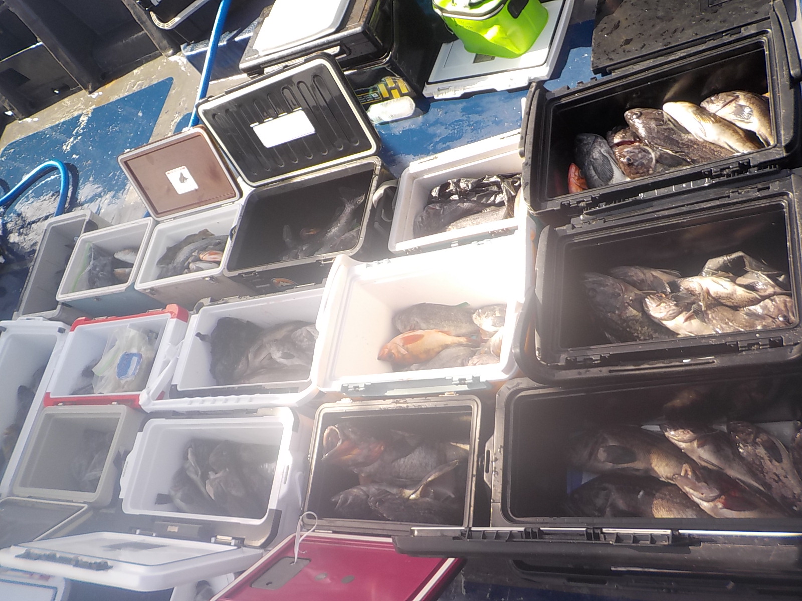 DSCN3918.JPG